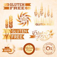 Gluten free design elements N4