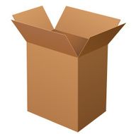 Tall Cardboard Box