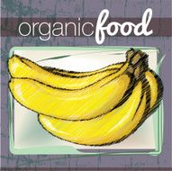 Organic Food illustration N16