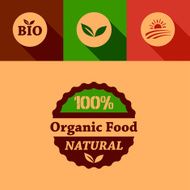 Flat Organic Food Design Elements N2