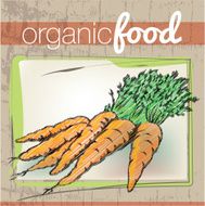 Organic Food illustration N17