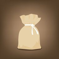 Simple purse on a background N2