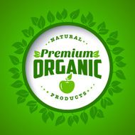 Round eco green stamp vector label N5