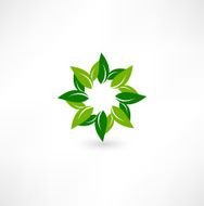 Green design N5