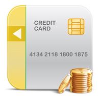 Vector Credit Card Icon N9