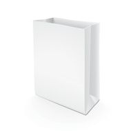 Paper Bag N37
