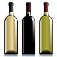 bottles N6