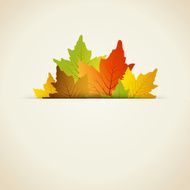 Thanksgiving card N19