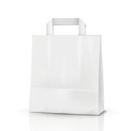 3d vector blank template shopping bag