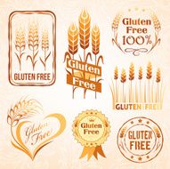 Gluten free design elements N5