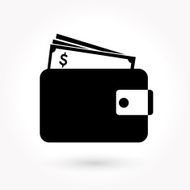 Wallet Icon N30