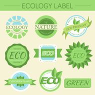green eco nature label print set illustration design