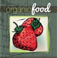 Organic Food illustration N18