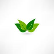 Green design N6