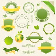 Vector Organic Food Eco Bio Labels and Elements