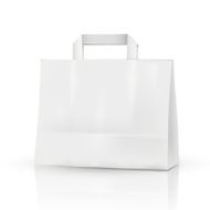 3d vector blank template shopping bag N2