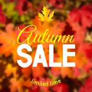 Autumn Sale N58