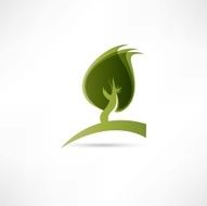 ecologi icon N8