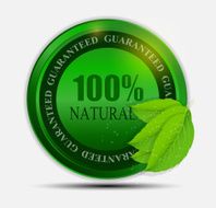 100 natural green label isolated on white vector illustration