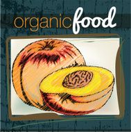 Organic Food illustration N19
