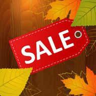 autumn sale vector label on wood background