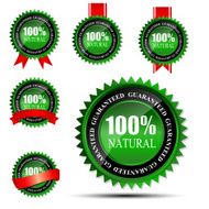 100 natural green label isolated on white vector illustration N4