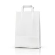 3d vector blank template shopping bag N3