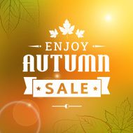 enjoy autumn sale vintage vector typography poster