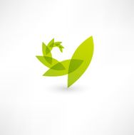 Leaf nature icon N4