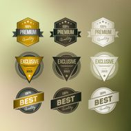 Vintage Badge Set