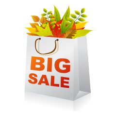 Autumn Best Offer
