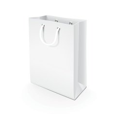 Paper Bag N35