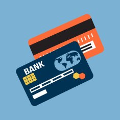 Credit Card Icon N100