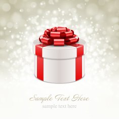 Gift box with bow and light N6