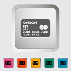 Credit card single icon N11