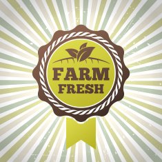 Farm fresh organic vector eco label