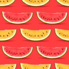 watermelon seamless pattern N6