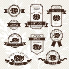 Lettuce labels N2