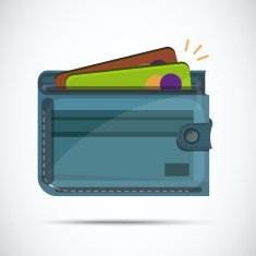 wallet with credit card - vector