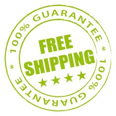 Green free shipping stamp Vector icon