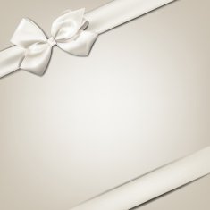 White gift bow N3