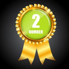 Vector gold sign label template N13