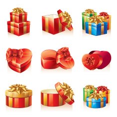 vector gift box set N5