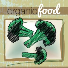 Organic Food illustration N20