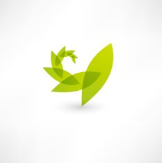 Leaf nature icon N4