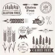 Gluten free design elements N6