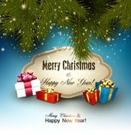 Gorgeous Christmas gift card with ribbon and boxe N2