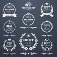 Premium quality laurel wreath set N2