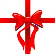 Red Bow N13