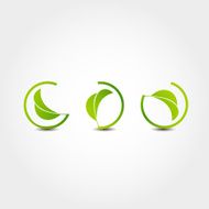 Leaf nature icons N4